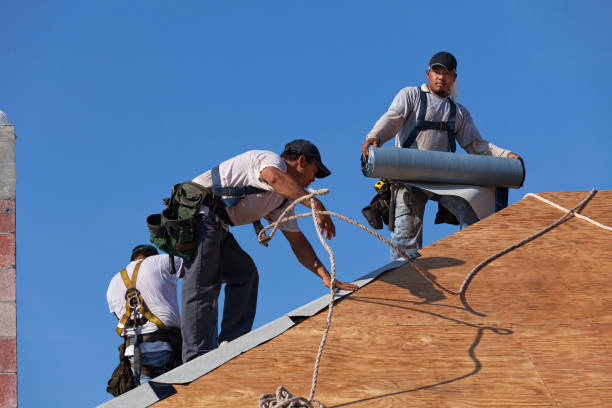 Best Best Roofing Contractors  in Evadale, TX